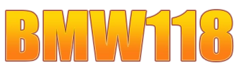 BMW118
